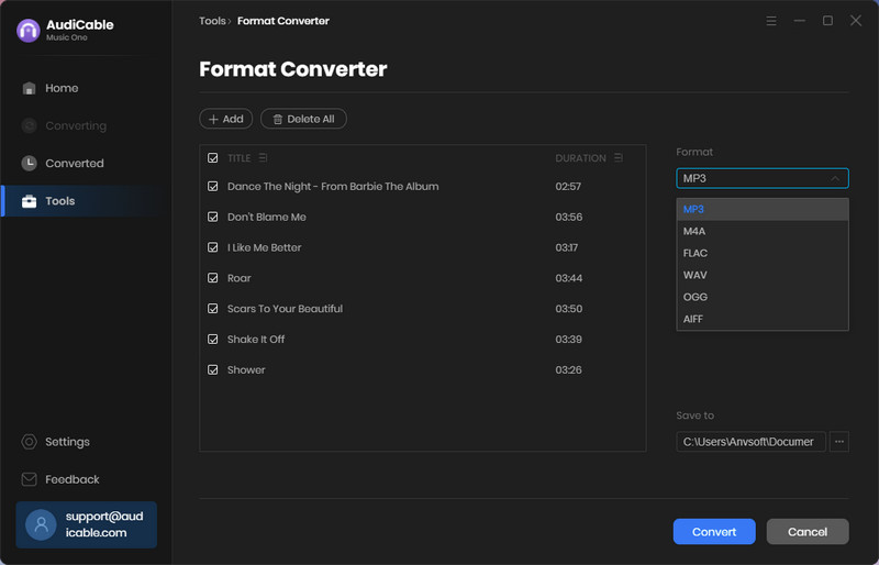 Convert Audio Format